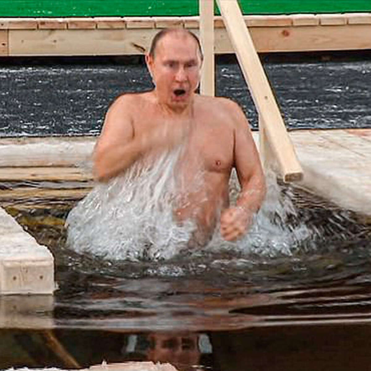 व्लादिमीर पुतिन