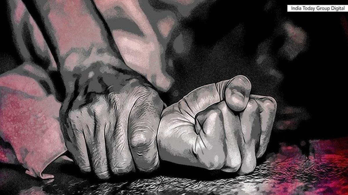 निर्भया गैंगरेप जैसी वारदात