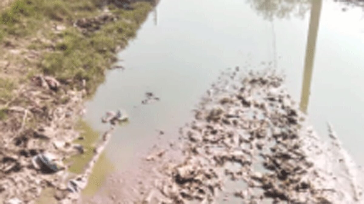 गांव की सड़क खराब की शिकायत लेकर डीएम के पास पहुंची लड़की (फोटो आजतक)