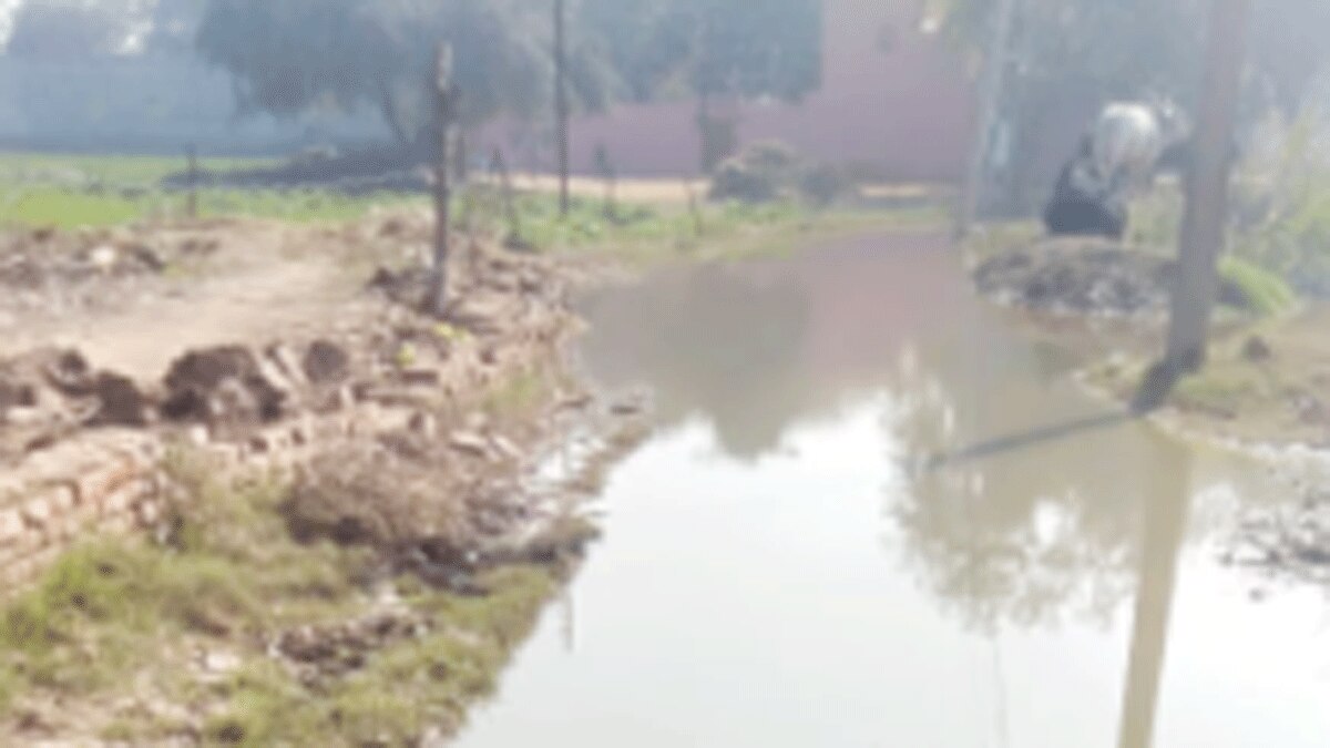 गांव की सड़क खराब की शिकायत लेकर डीएम के पास पहुंची लड़की (फोटो आजतक)