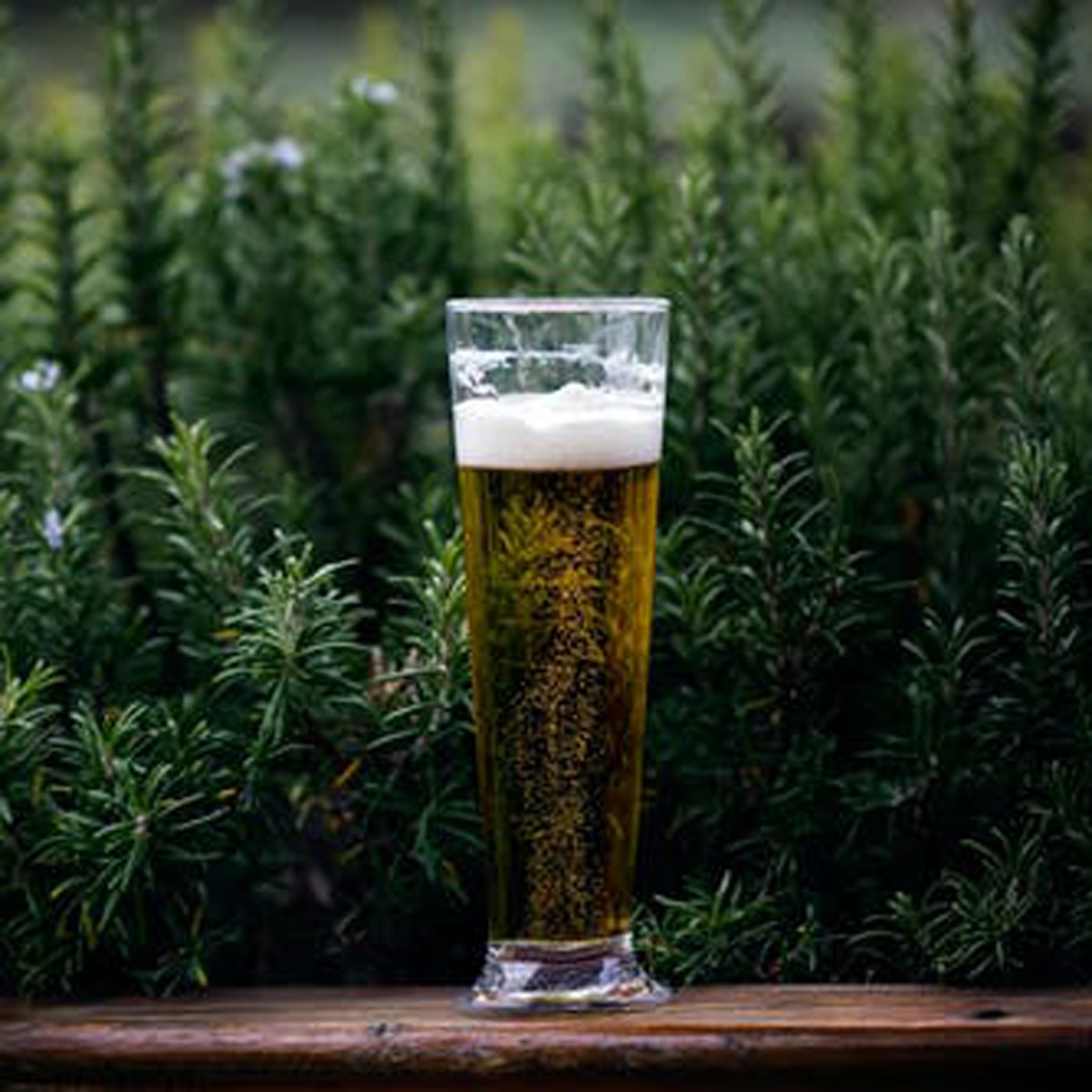 प्रतीकात्मक तस्वीर