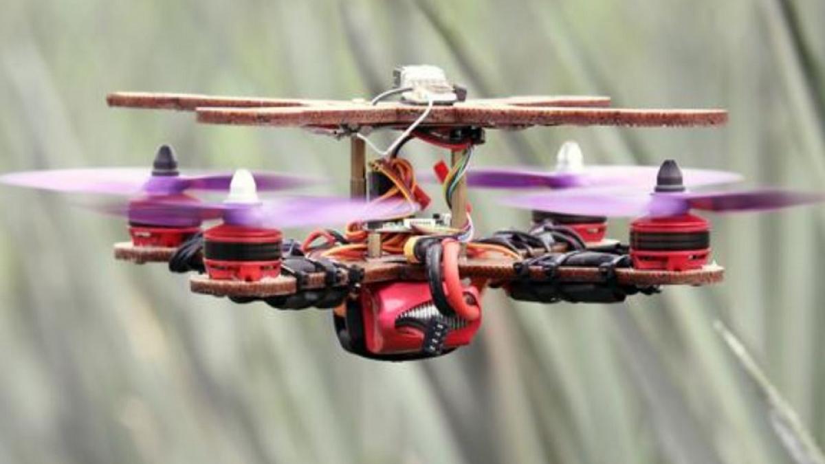 अनानास के पत्तों से बना दिया ड्रोन