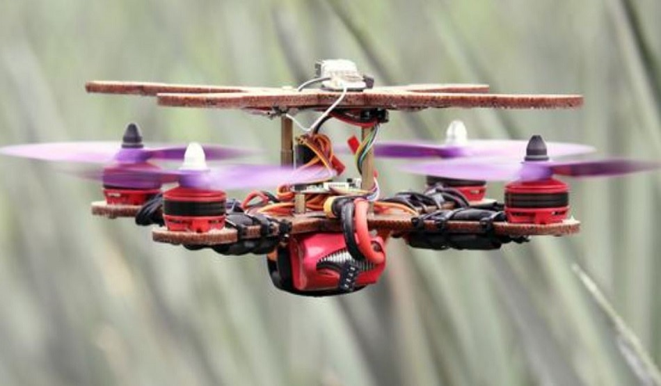 अनानास के पत्तों से बना दिया ड्रोन