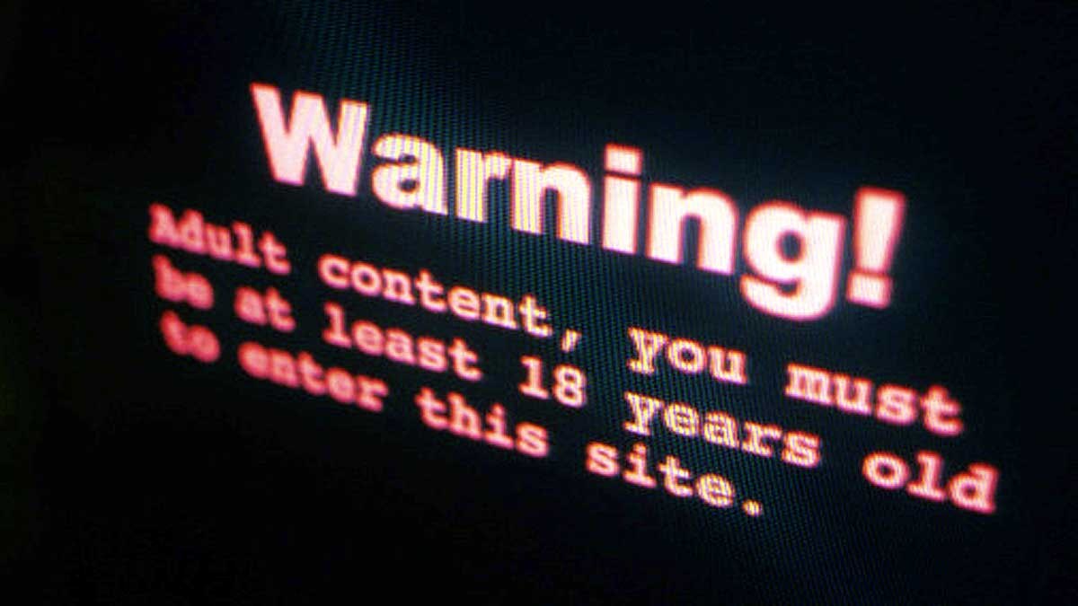 Adult websites are biggest source of sex education