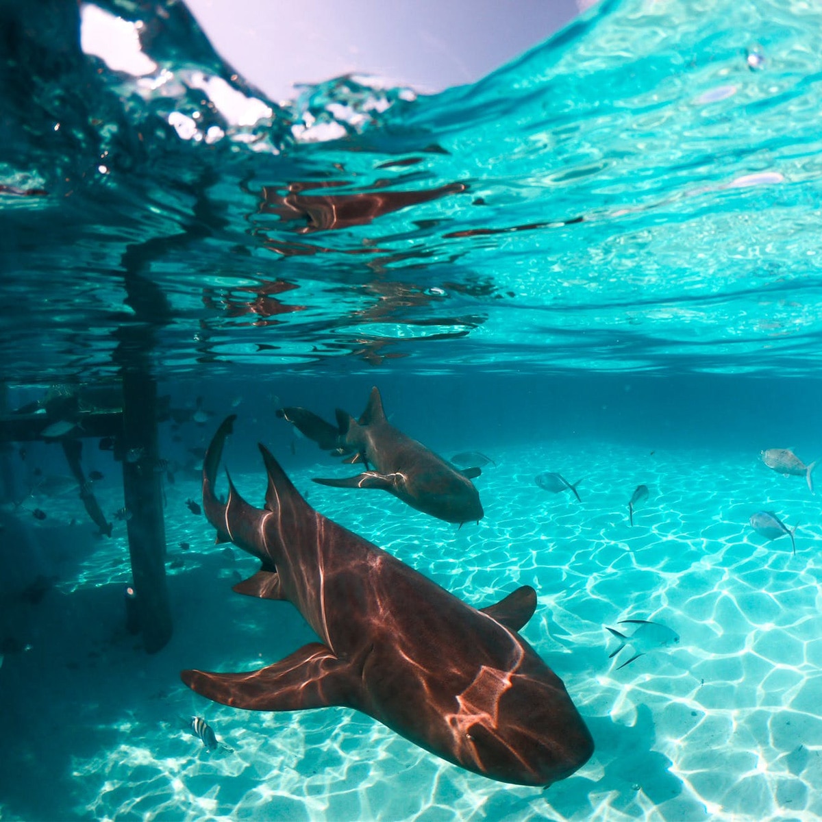 प्रतीकात्मक तस्वीर