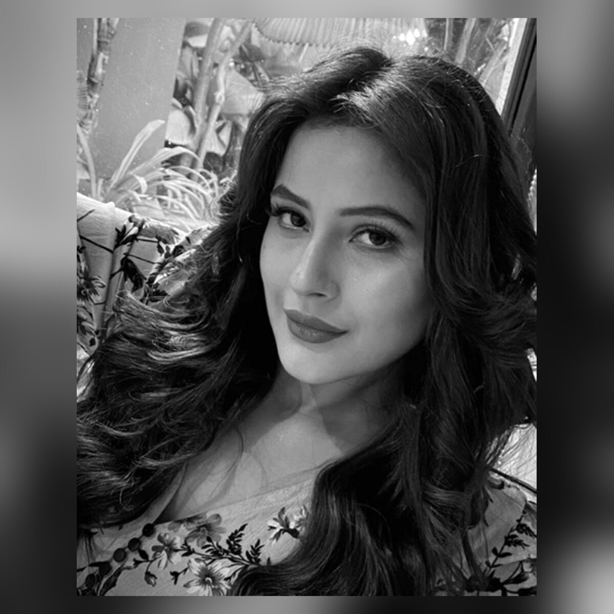 शहनाज गिल 