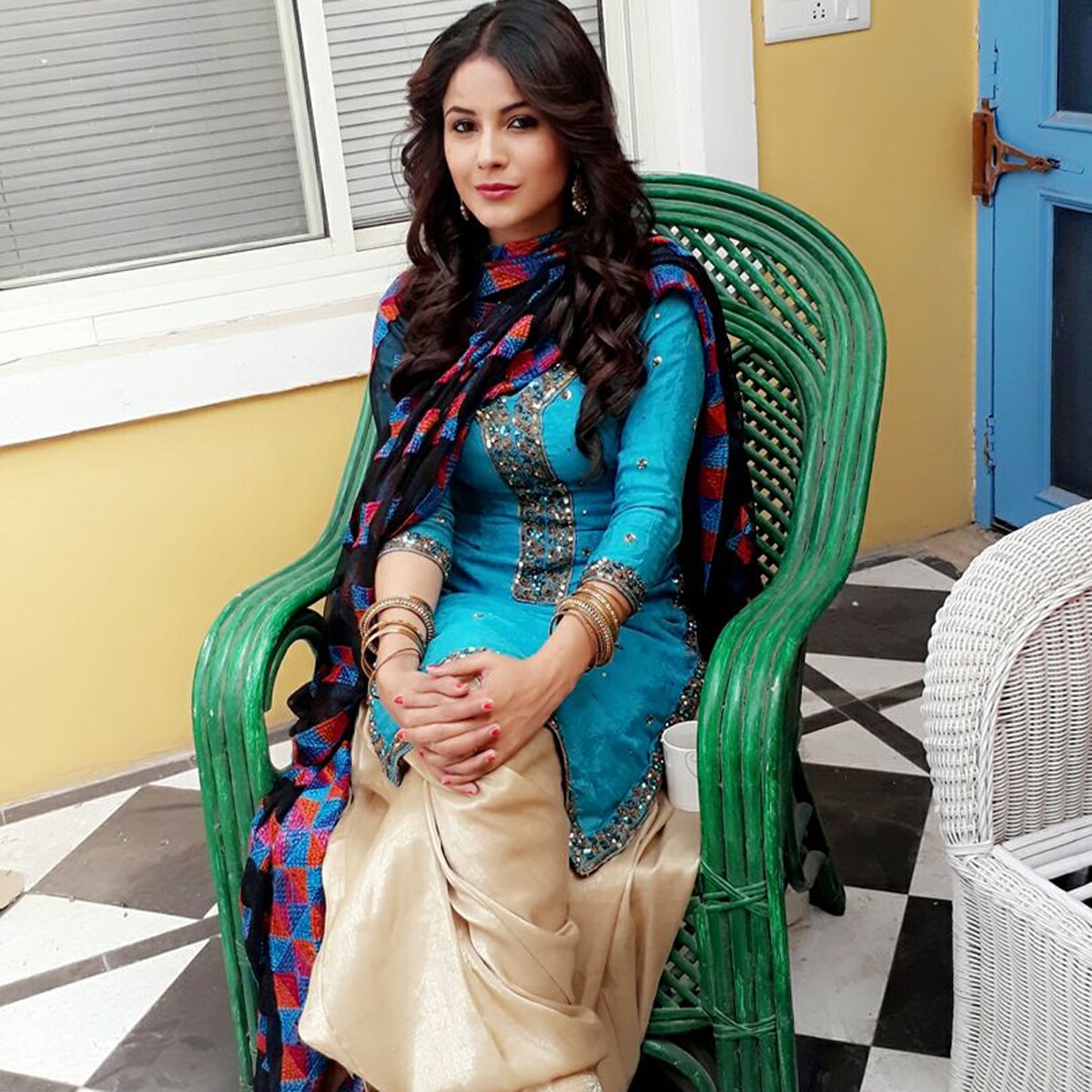 शहनाज कौर गिल 