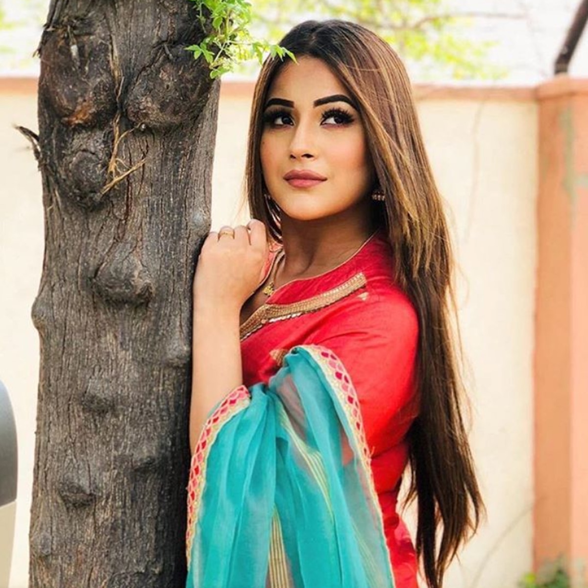 शहनाज कौर गिल 