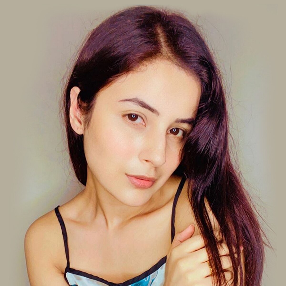 शहनाज गिल