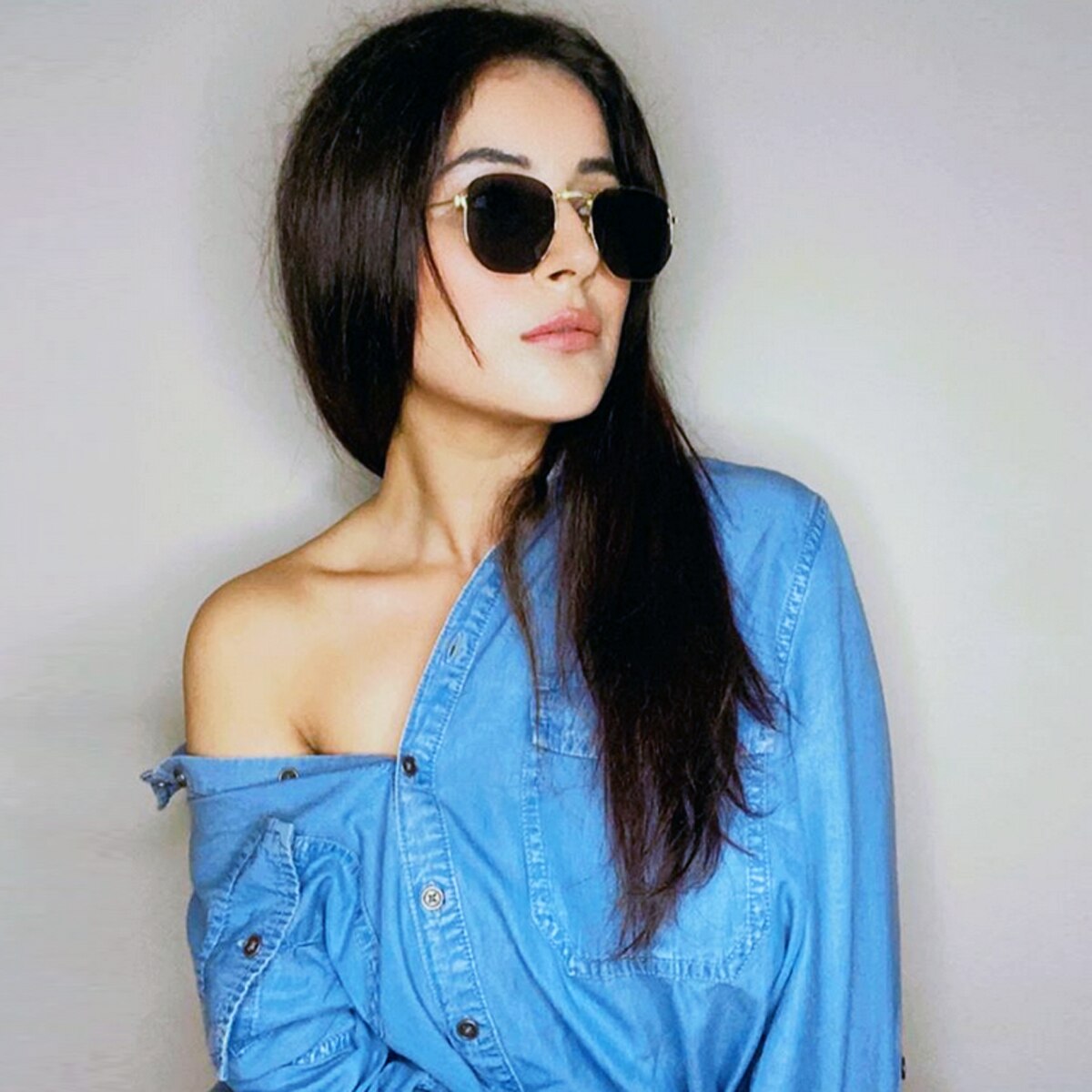 शहनाज गिल