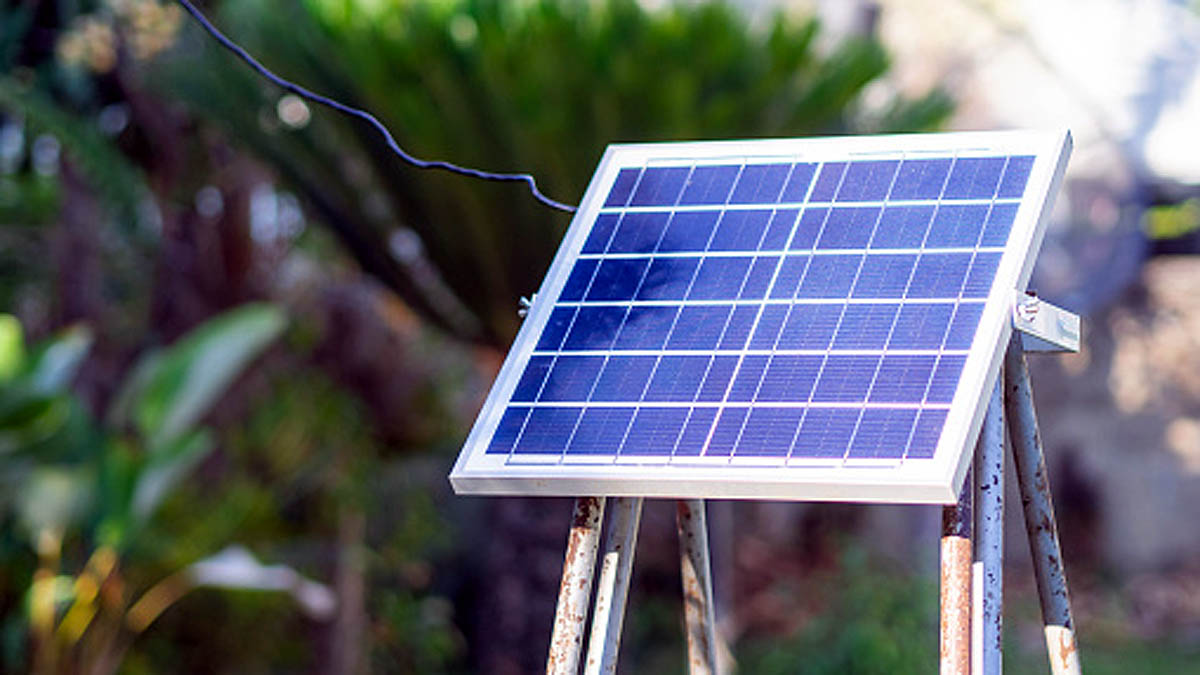 Chilli Peppers Chemical capsaicin boosts Solar Panel Cells