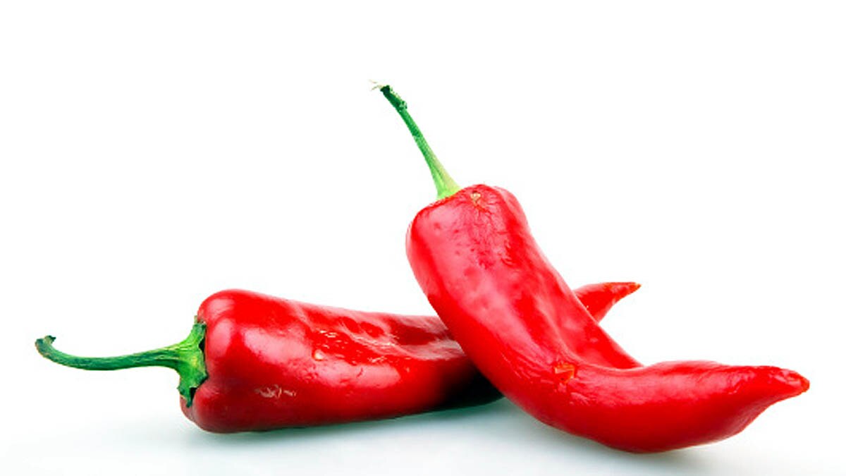 Chilli Peppers Chemical capsaicin boosts Solar Panel Cells