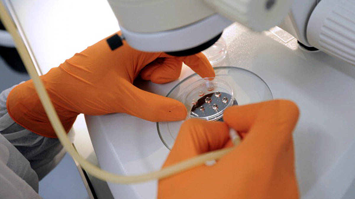 Scientists develop Smart Stem Cells with regenerative abilities 