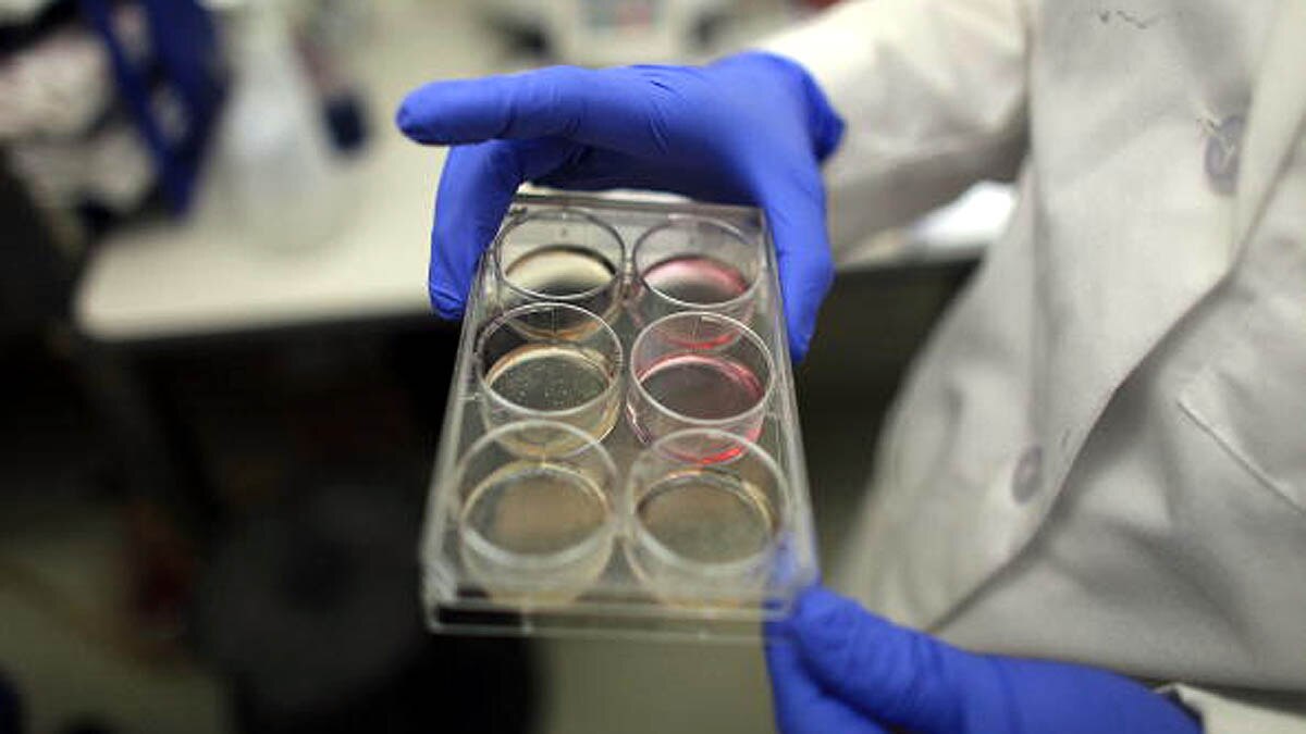 Scientists develop Smart Stem Cells with regenerative abilities 