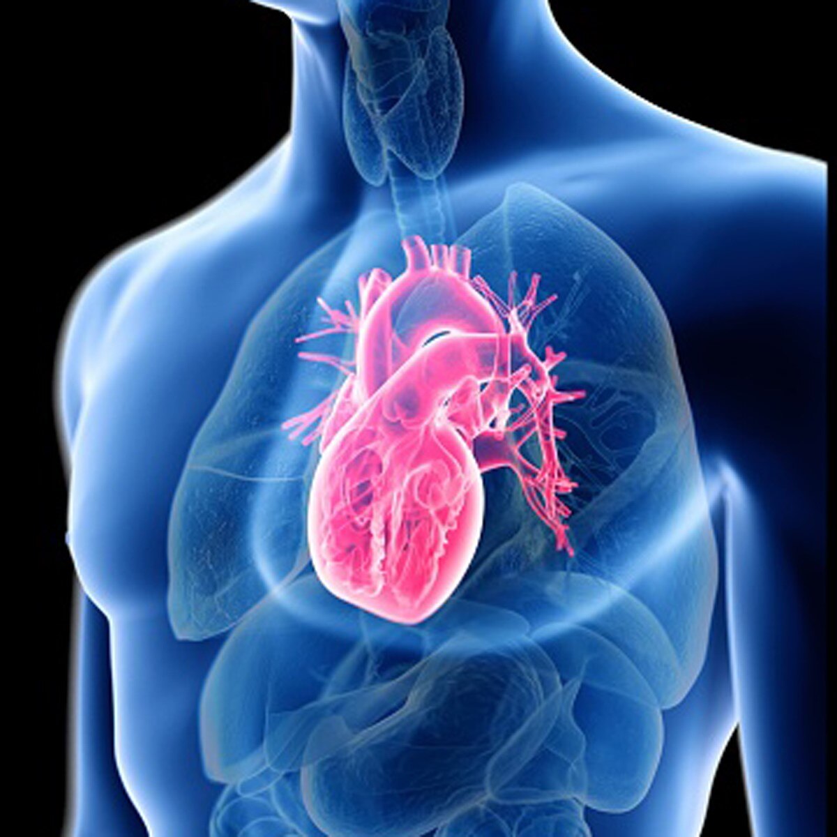 प्रतीकात्‍मक फोटो