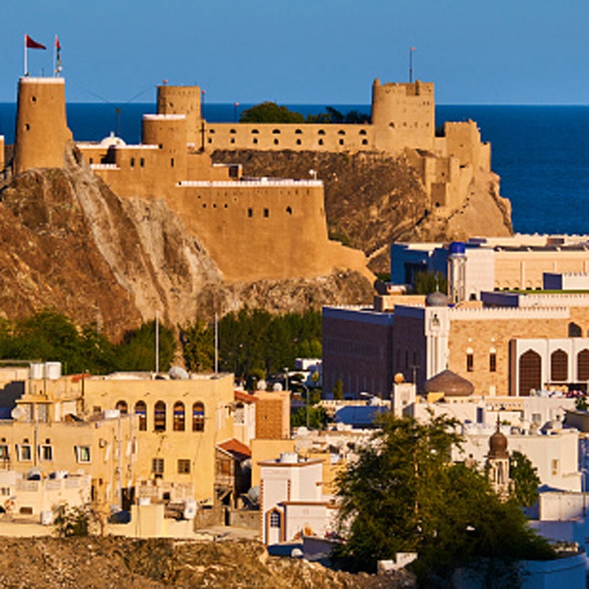 Oman Representational Image (GettyImages)