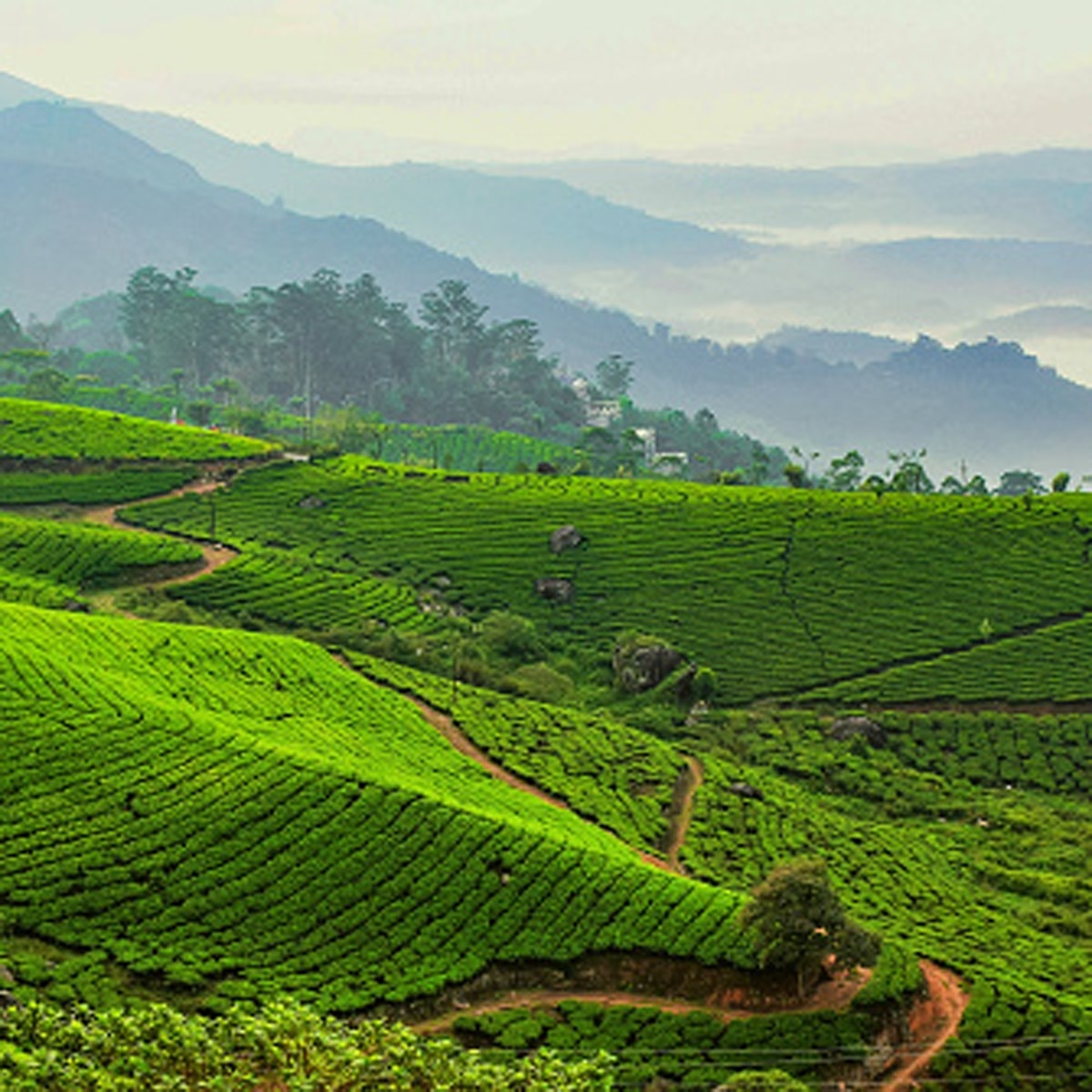 Taiwan Country Representational Image (Getty)