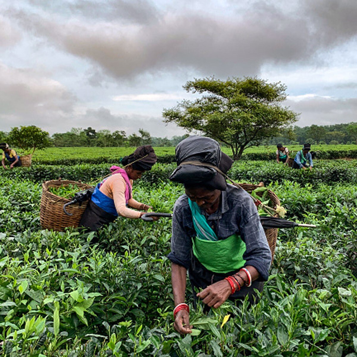 प्रतीकात्‍मक फोटो