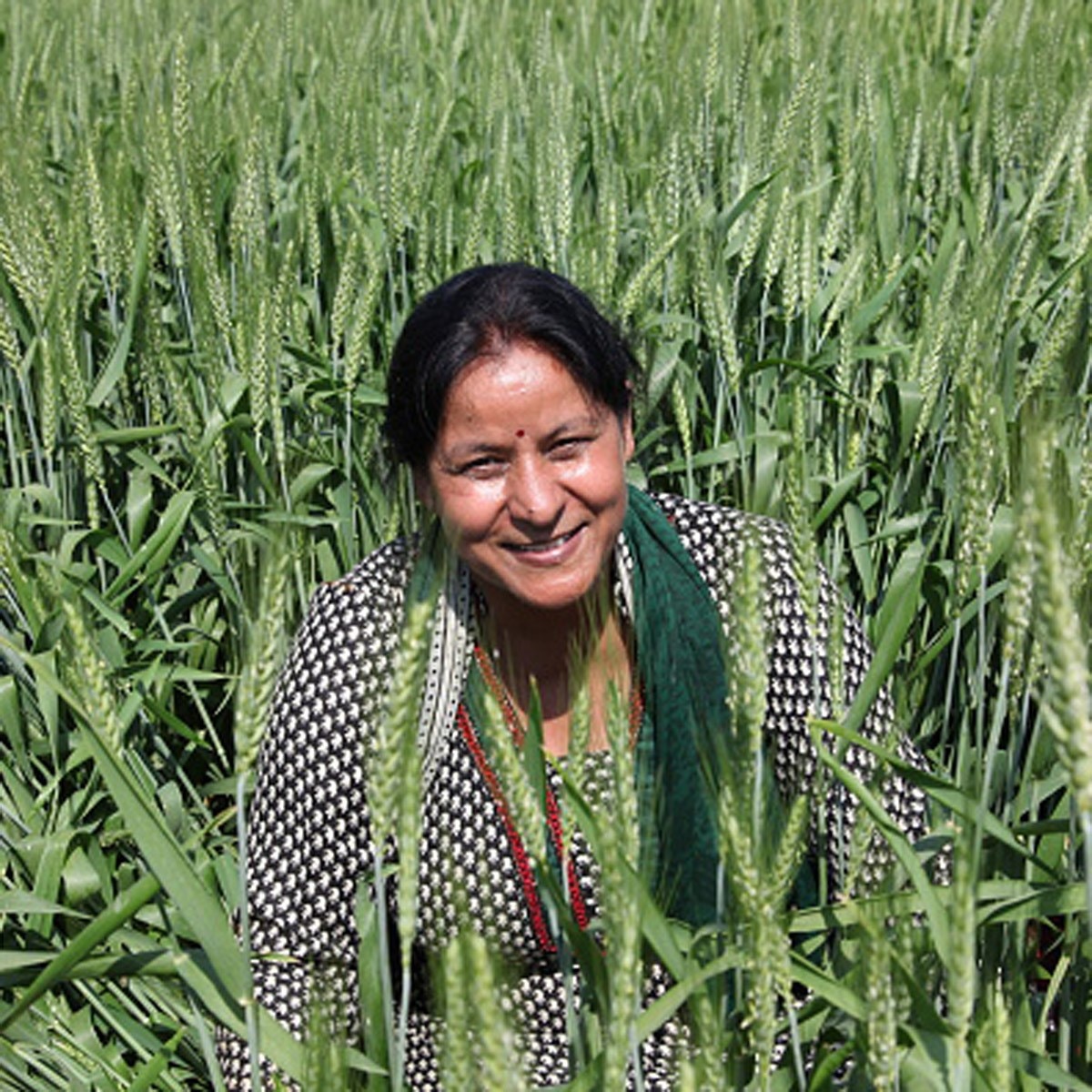 प्रतीकात्‍मक फोटो