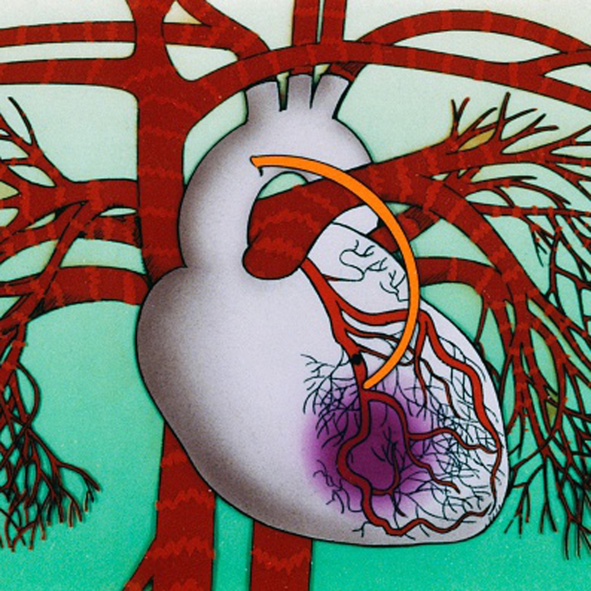 प्रतीकात्‍मक फोटो