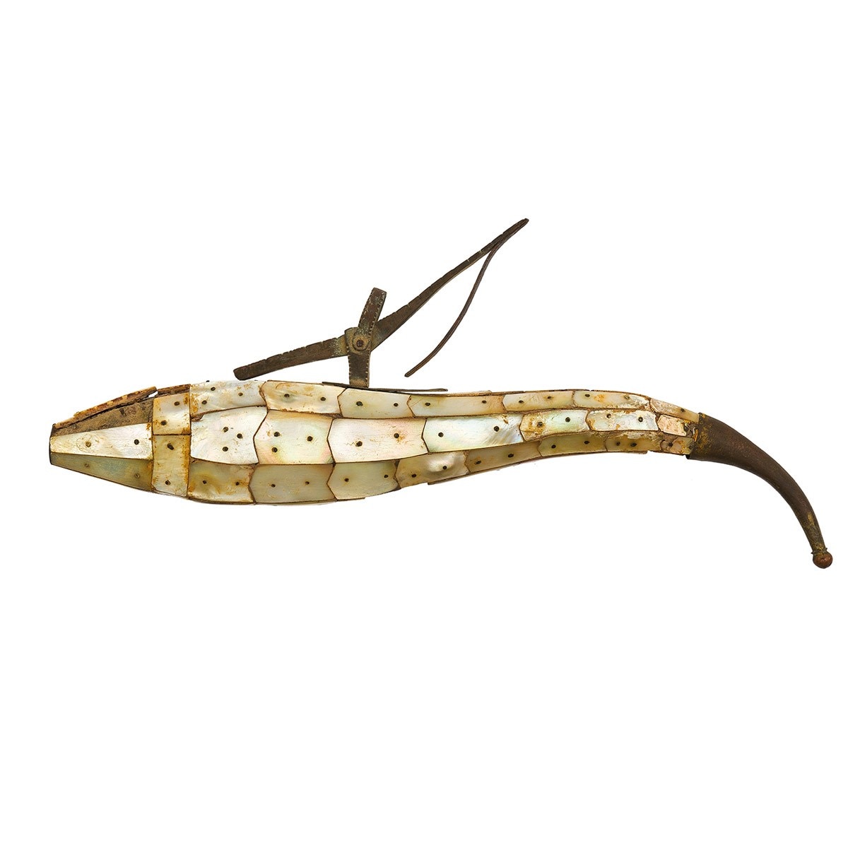 Maharaj Jodhpur's Gun (Image Credit: aajtak.in/ Special Permission)