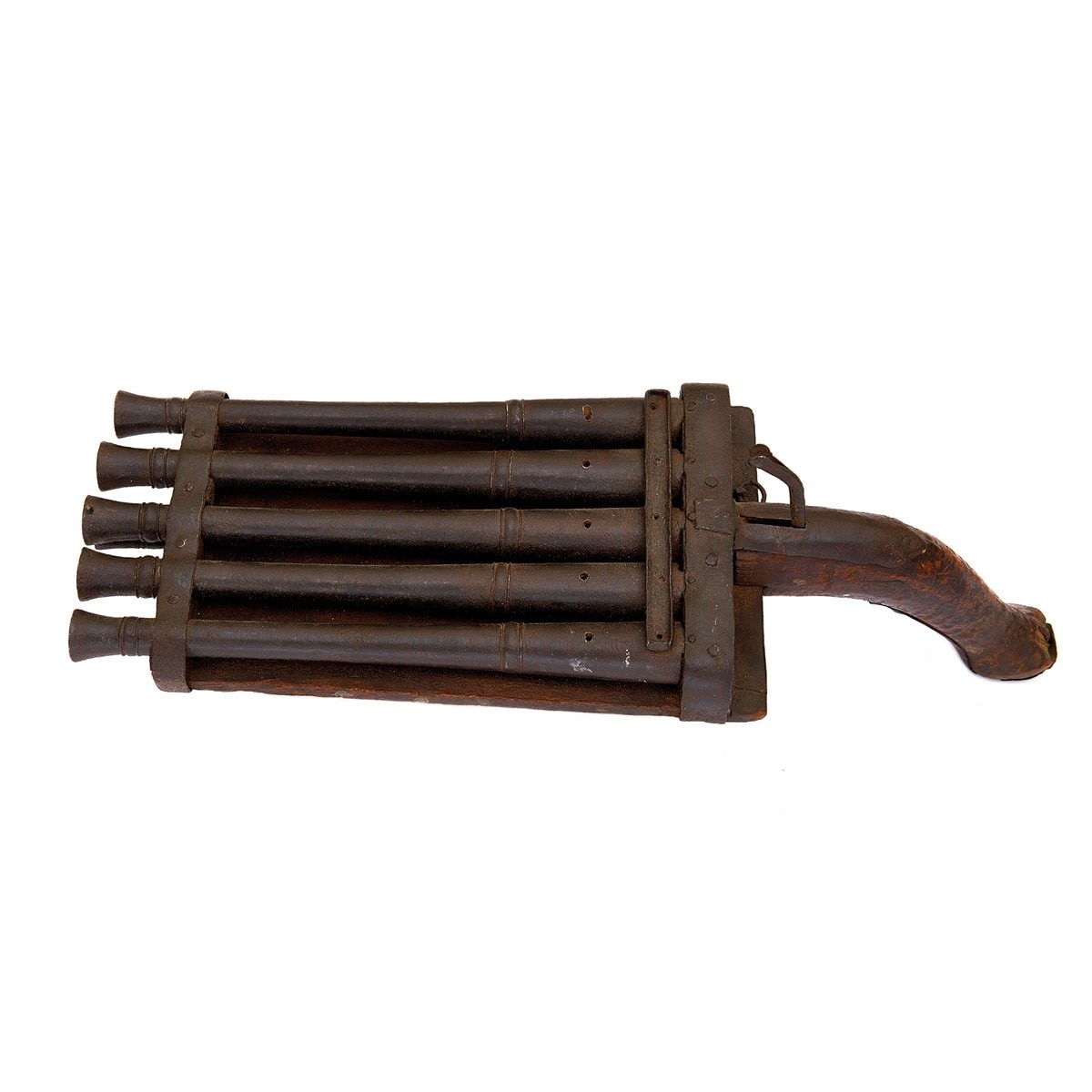 Maharaj Jodhpur's Gun (Image Credit: aajtak.in/ Special Permission)