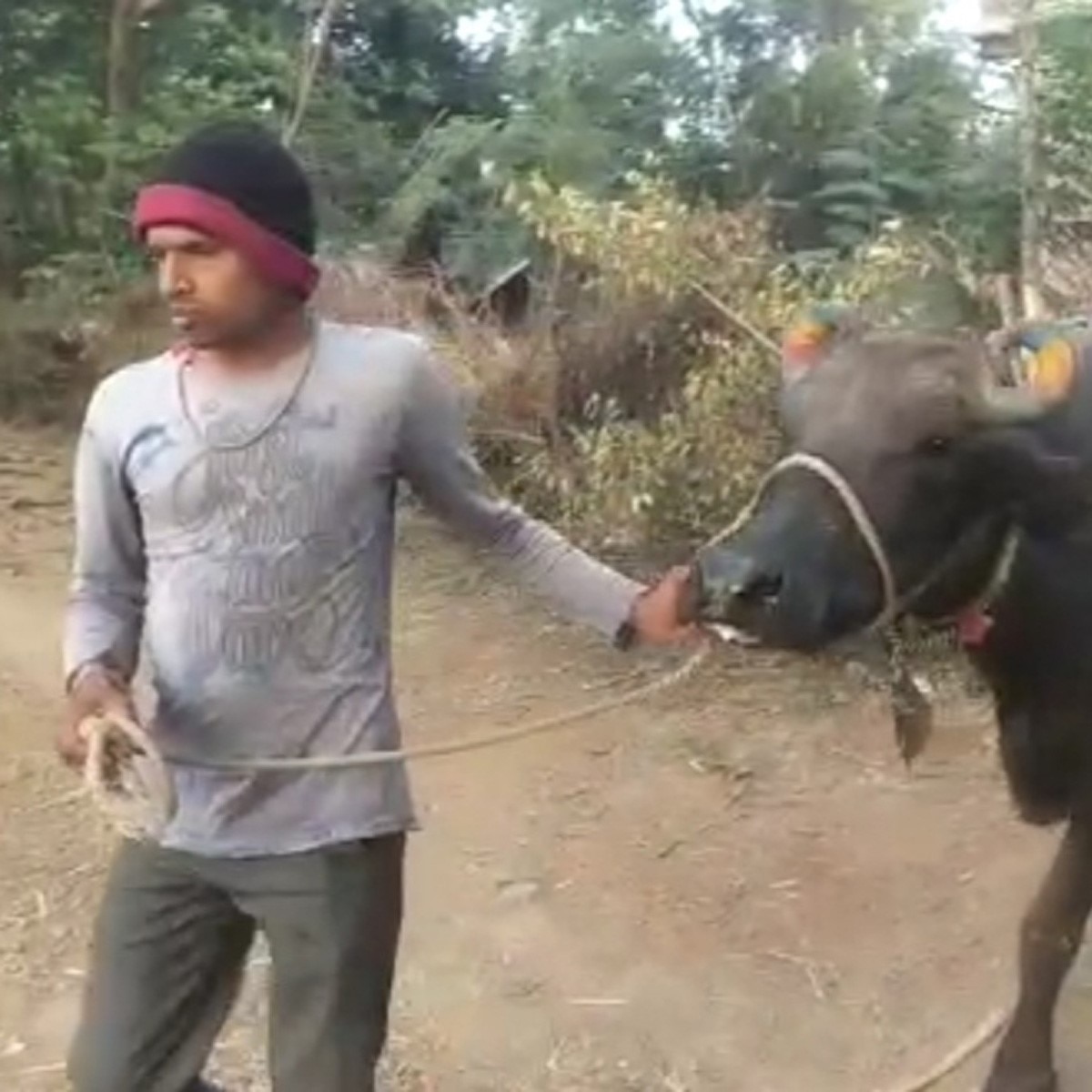 कमलेश दांगी भर्ती परीक्षा पास करने वाले उम्‍मीदवार