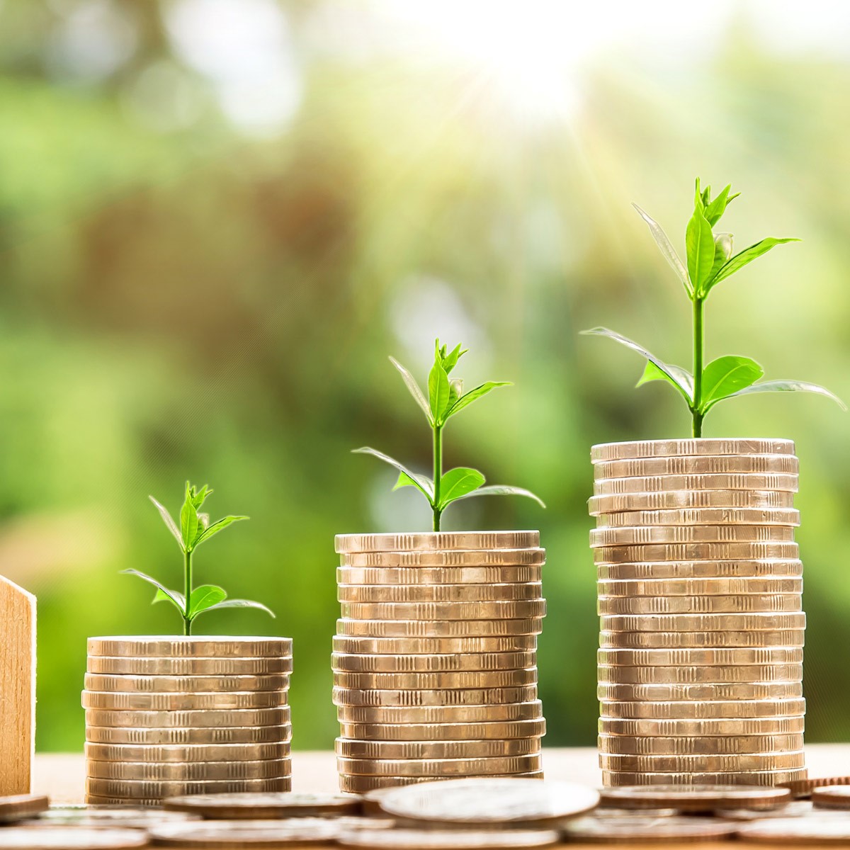 Representational Image