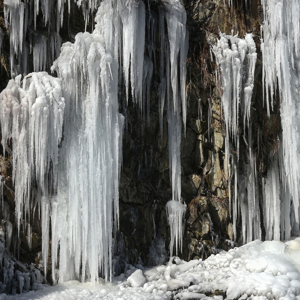 प्रतीकात्‍मक फोटो