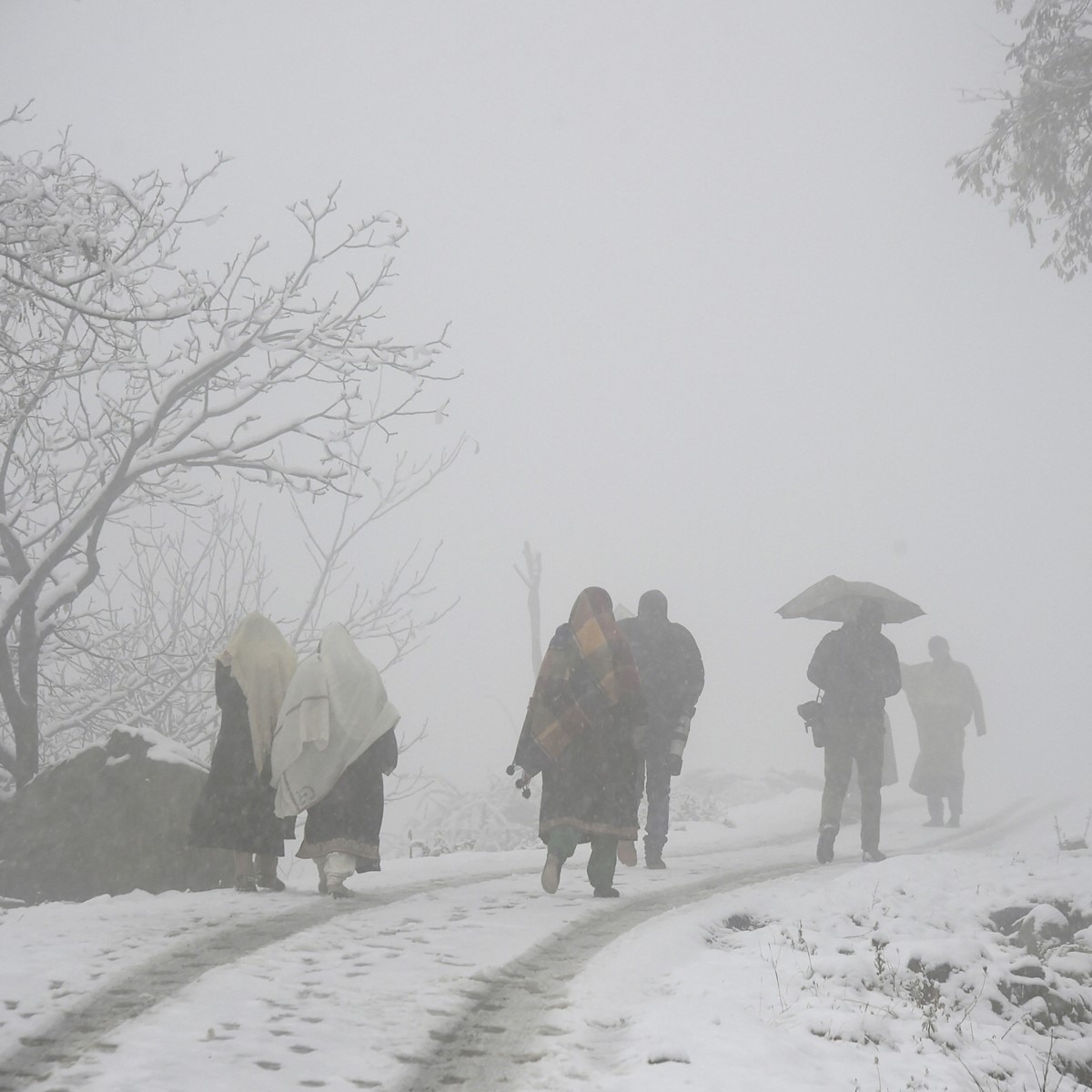 प्रतीकात्‍मक फोटो