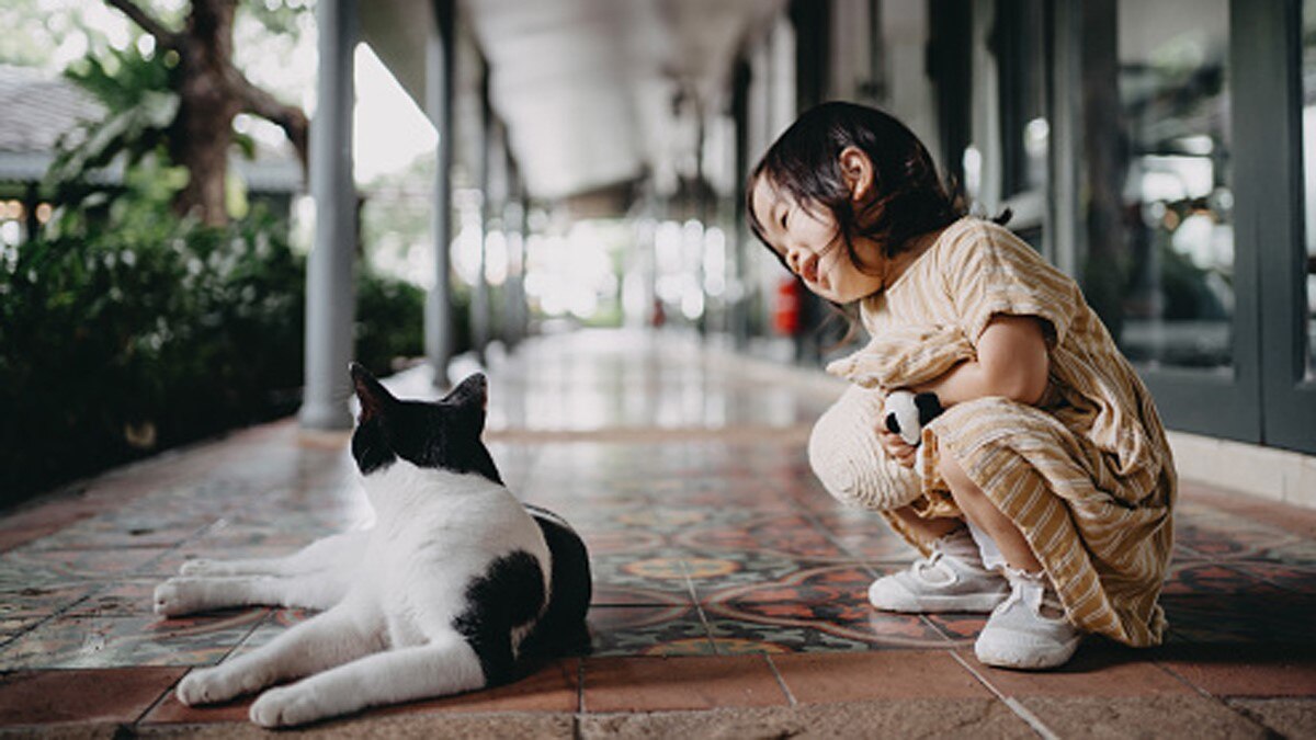 (Representation Getty Images)