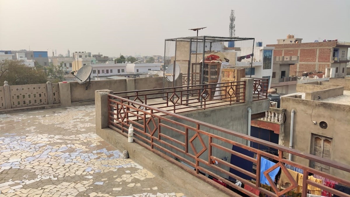 घर की छत से 140 कबूतर चोरी (फोटो आजतक)