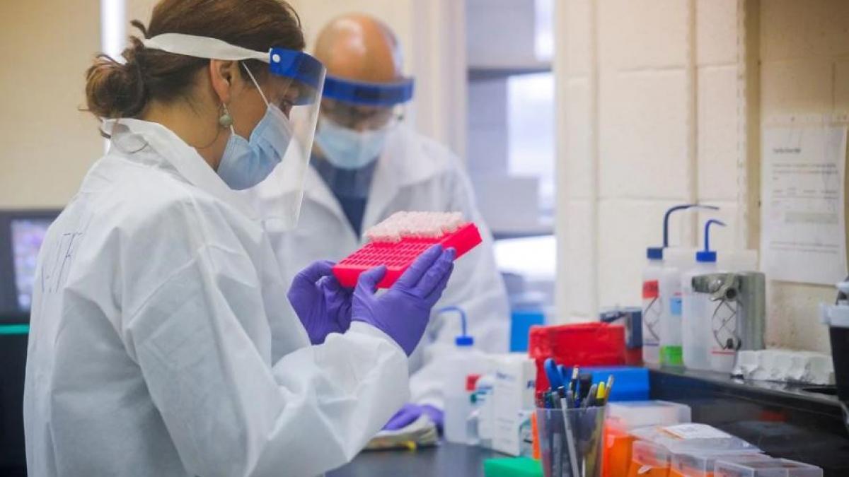 हेल्थ सेक्टर पर अब फोकस जरूरी