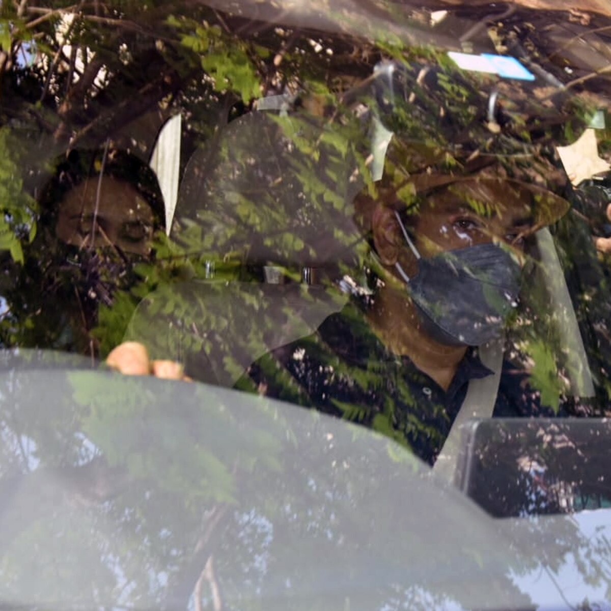 वरुण धवन और नताशा दलाल 