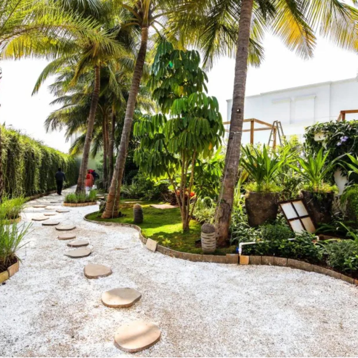 वरुण धवन का वेडिंग वेन्यू 