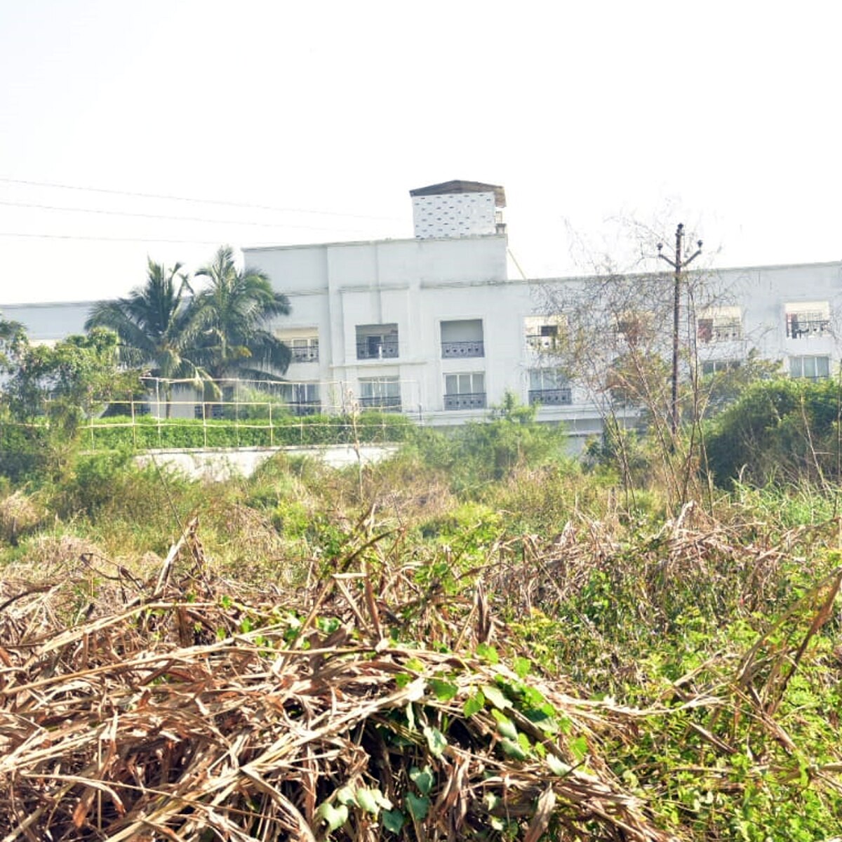 वरुण धवन की शादी