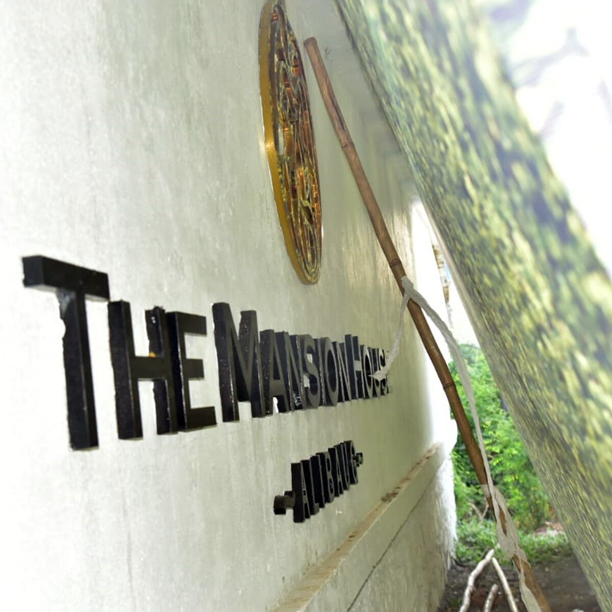 वरुण धवन की शादी