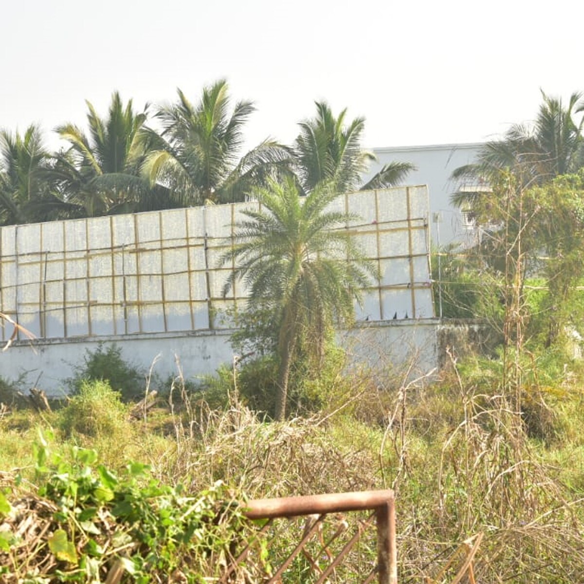 वरुण धवन की शादी