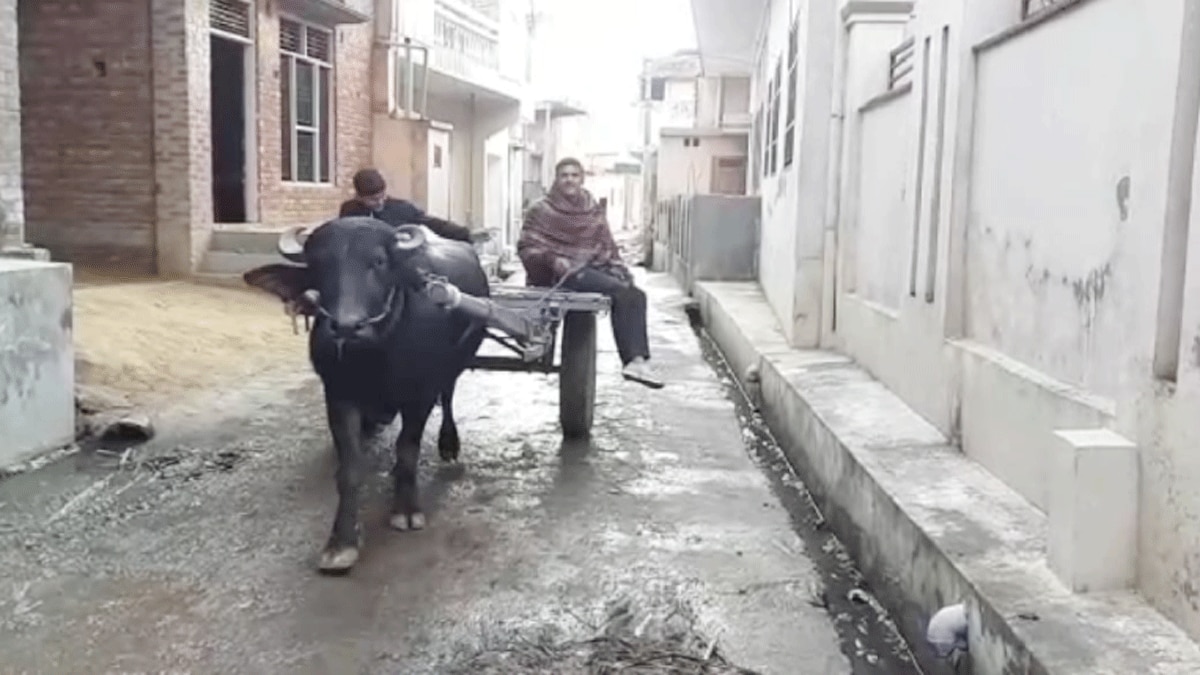 मिरगपुर गांव धूमपान रहित गांव की श्रेणी में शुमार है  (फोटो आजतक)