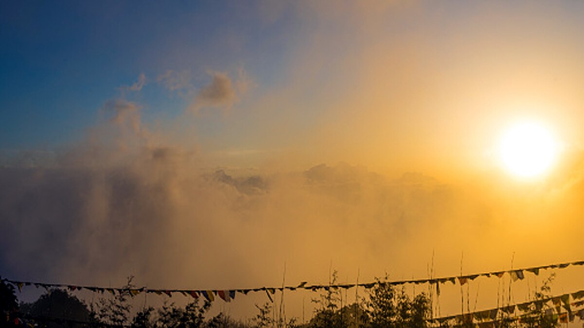 Human Migration Brings Vitamin D Deficiency