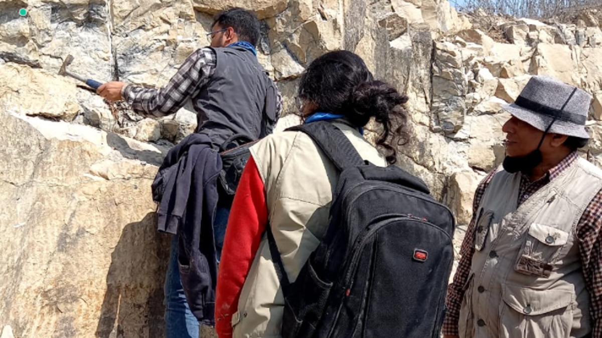 पूराना फसिलक पार्क सोनभद्र के सलखन में मौजूद है.