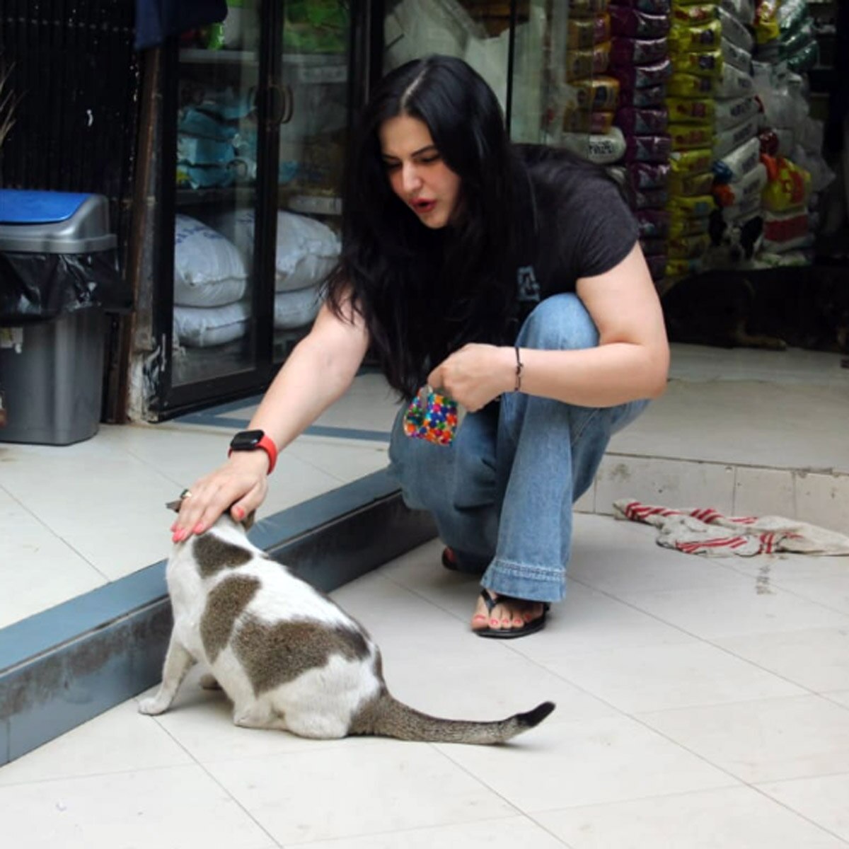 जरीन खान 