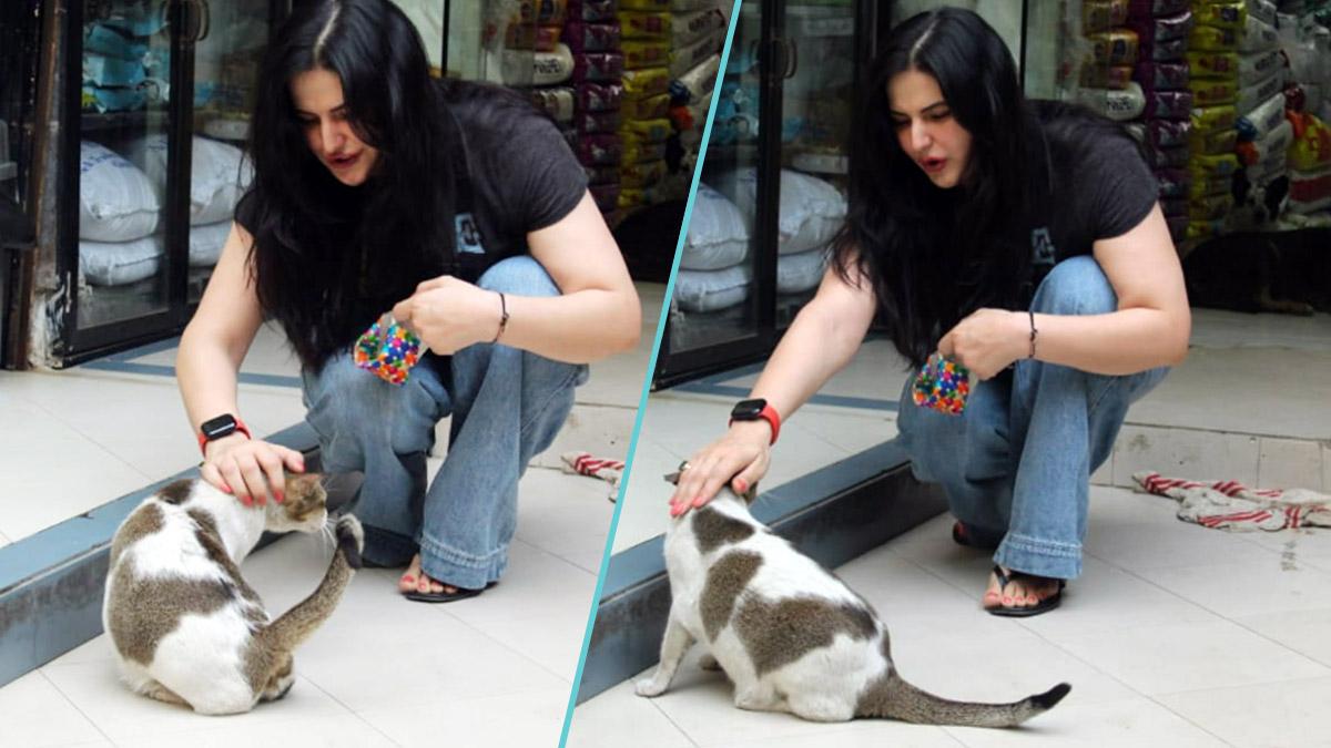 जरीन खान 