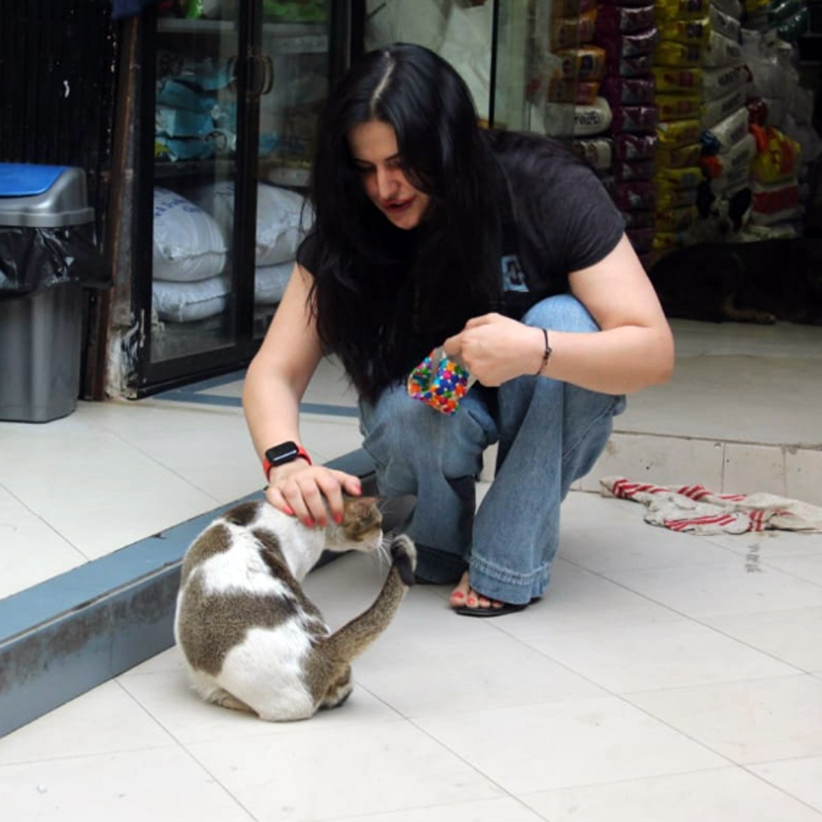 जरीन खान 