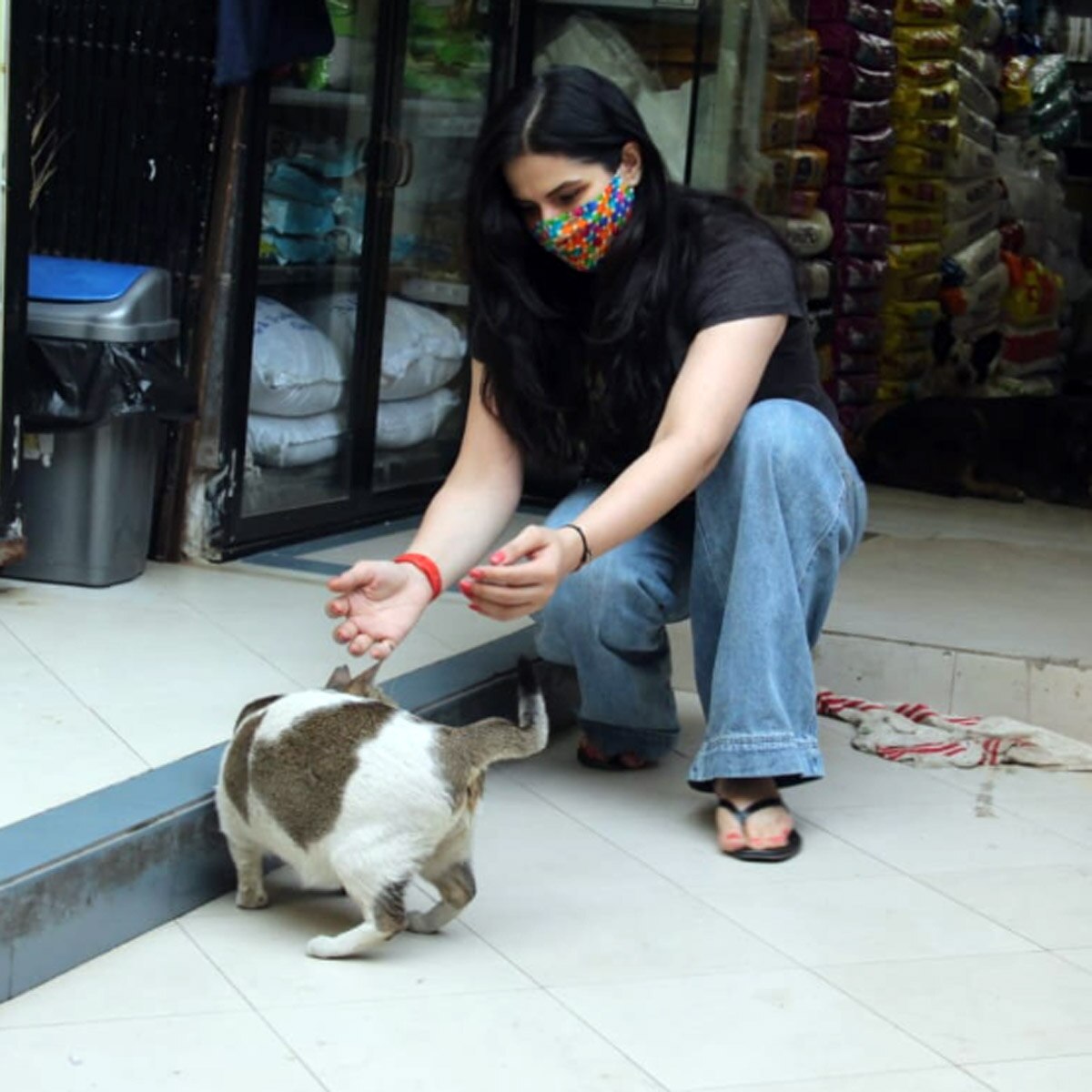 जरीन खान 