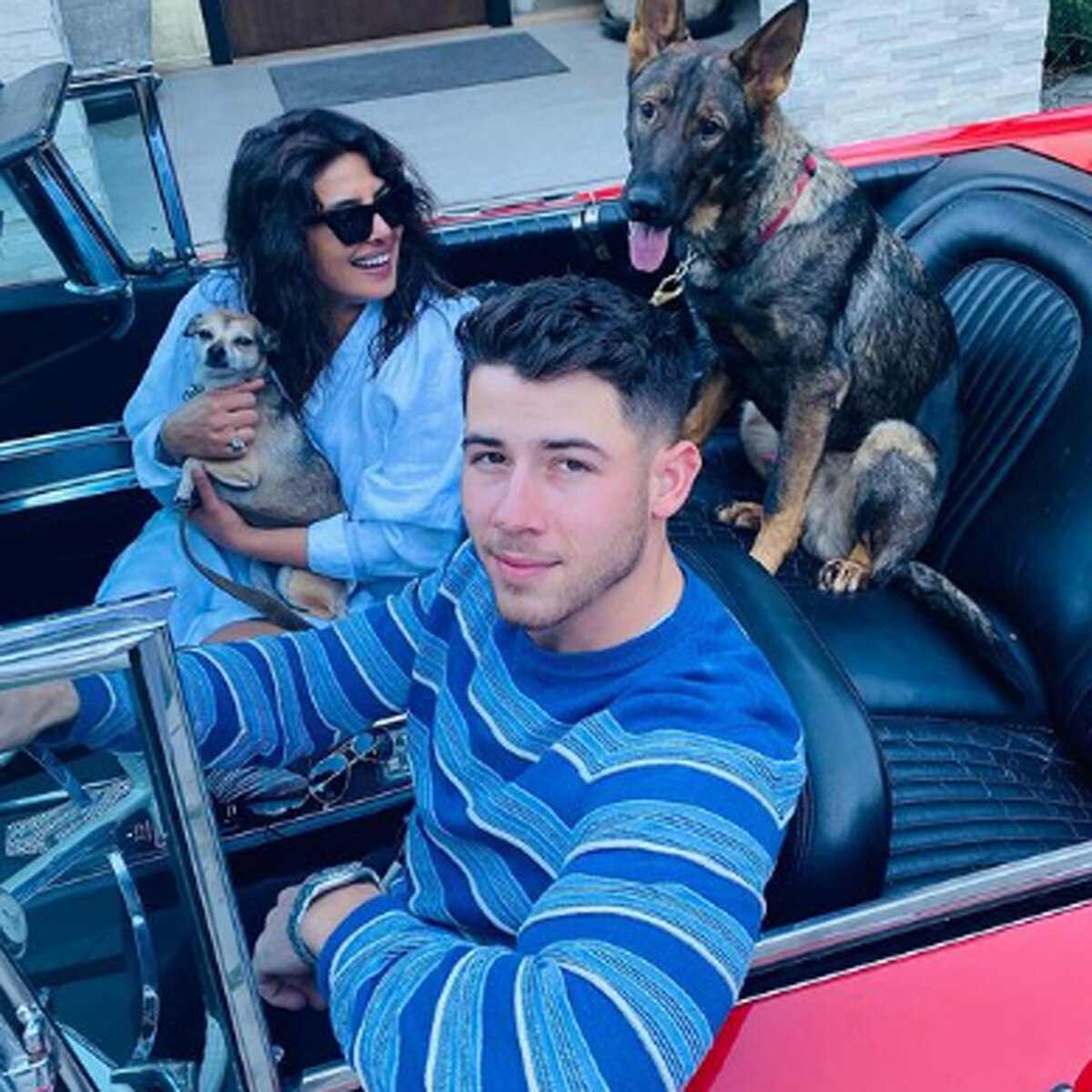 प्रियंका चोपड़ा-निक जोनस 