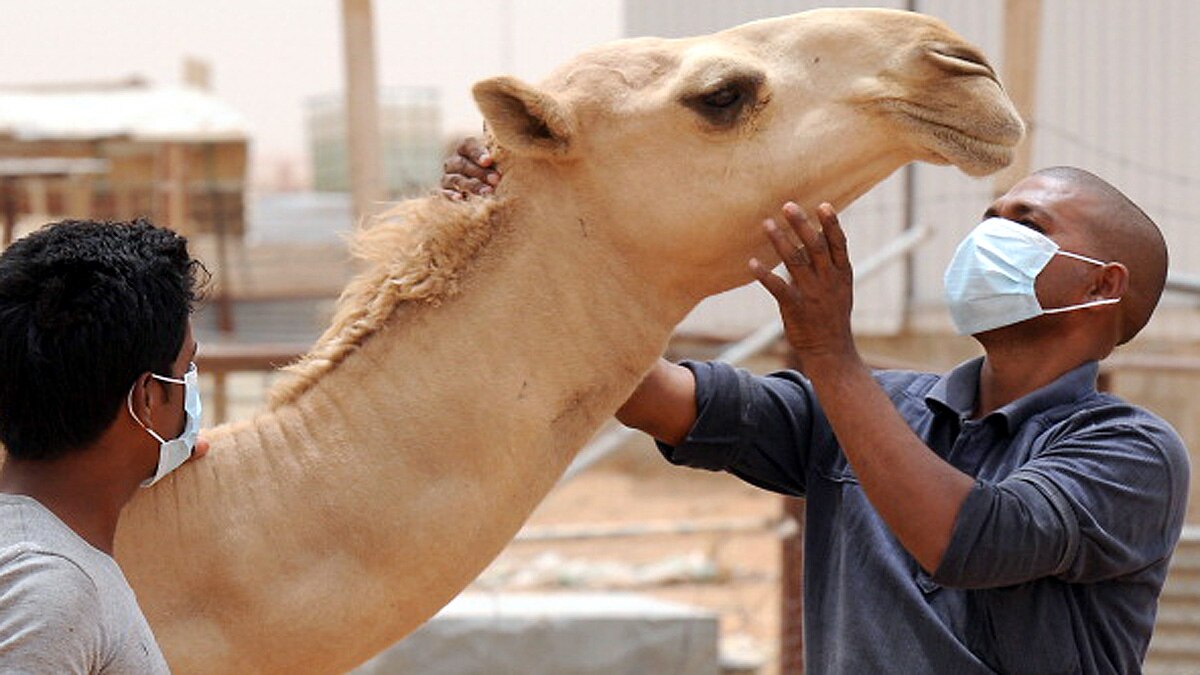 AI Artificial Intelligence predict Next Coronavirus 