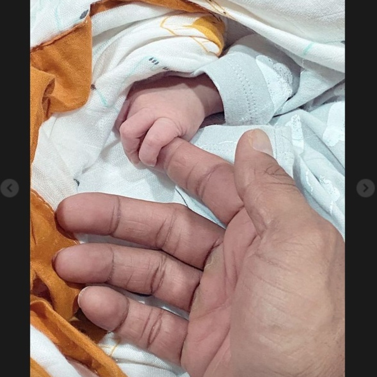 अनीता हसनंदानी