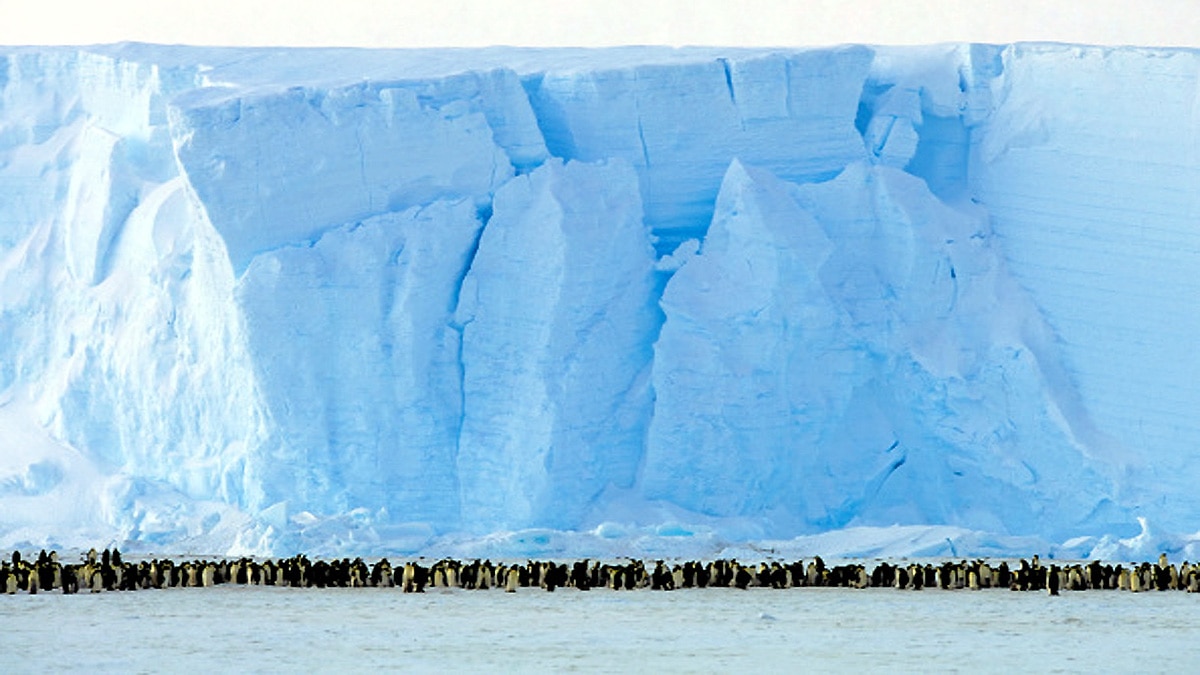 Discovery of Life inside Antarctica