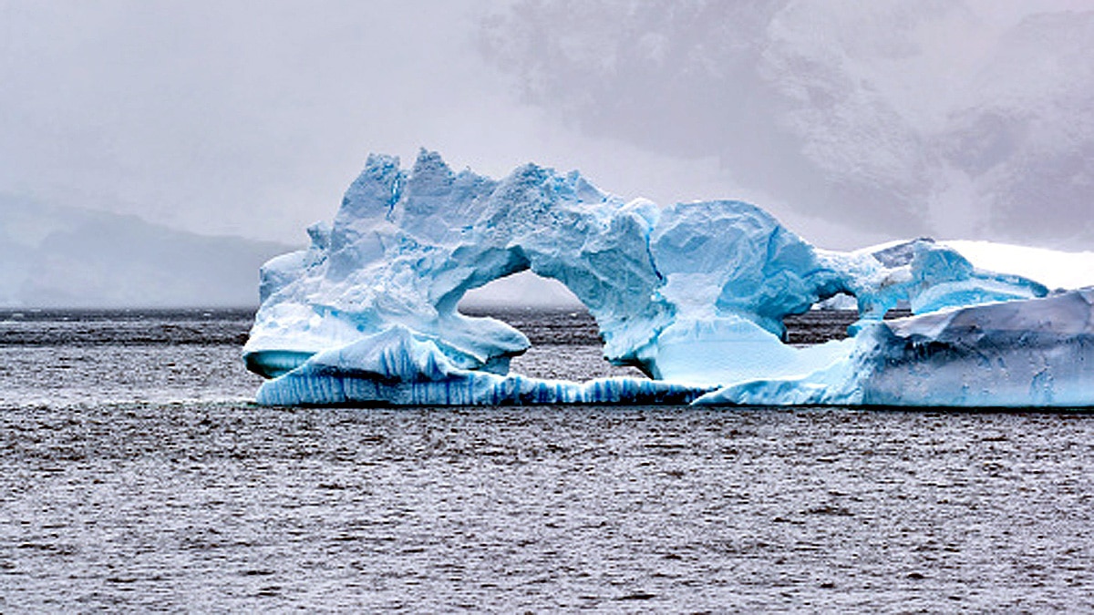 Discovery of Life inside Antarctica